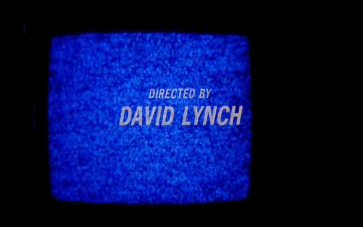 Scolpire il tempo. Mindcraft - David Lynch / Bill Viola